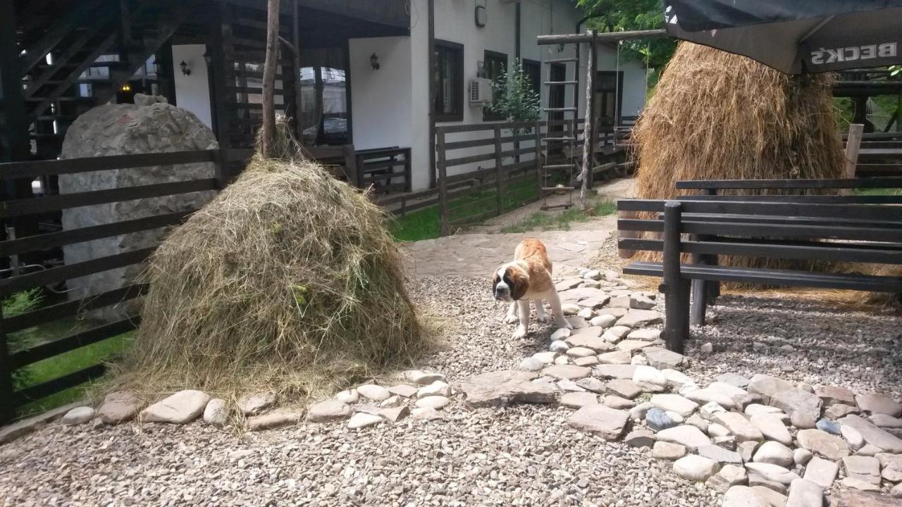 Piatra Neamţ 卡萨德鲁每图雷旅馆酒店 外观 照片