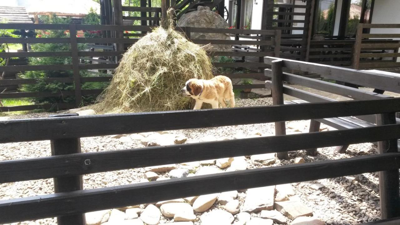 Piatra Neamţ 卡萨德鲁每图雷旅馆酒店 外观 照片