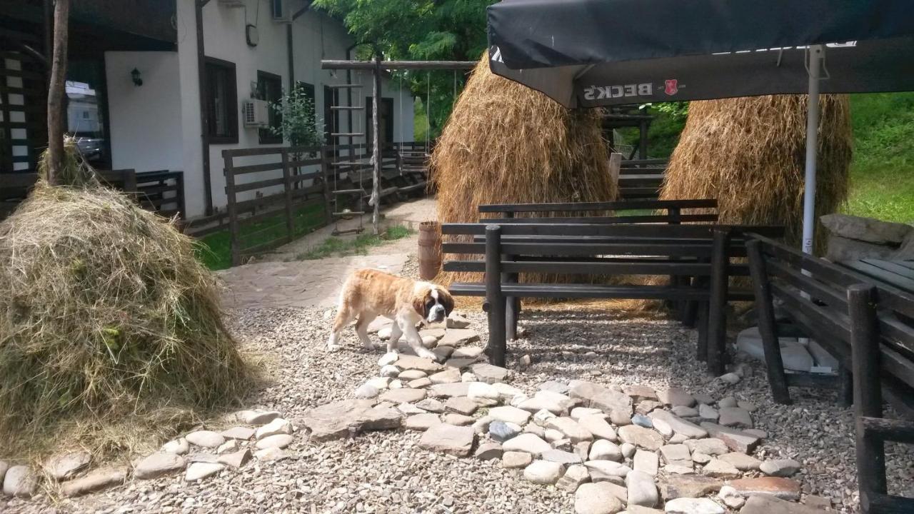 Piatra Neamţ 卡萨德鲁每图雷旅馆酒店 外观 照片