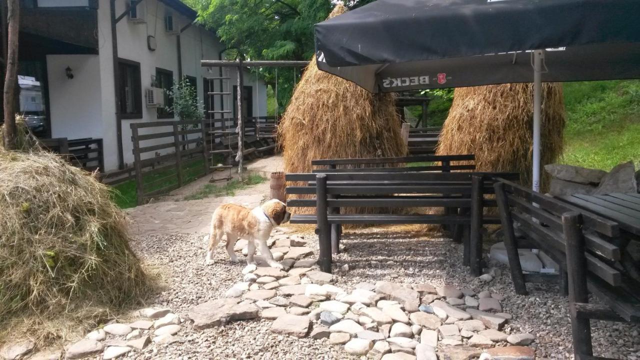 Piatra Neamţ 卡萨德鲁每图雷旅馆酒店 外观 照片