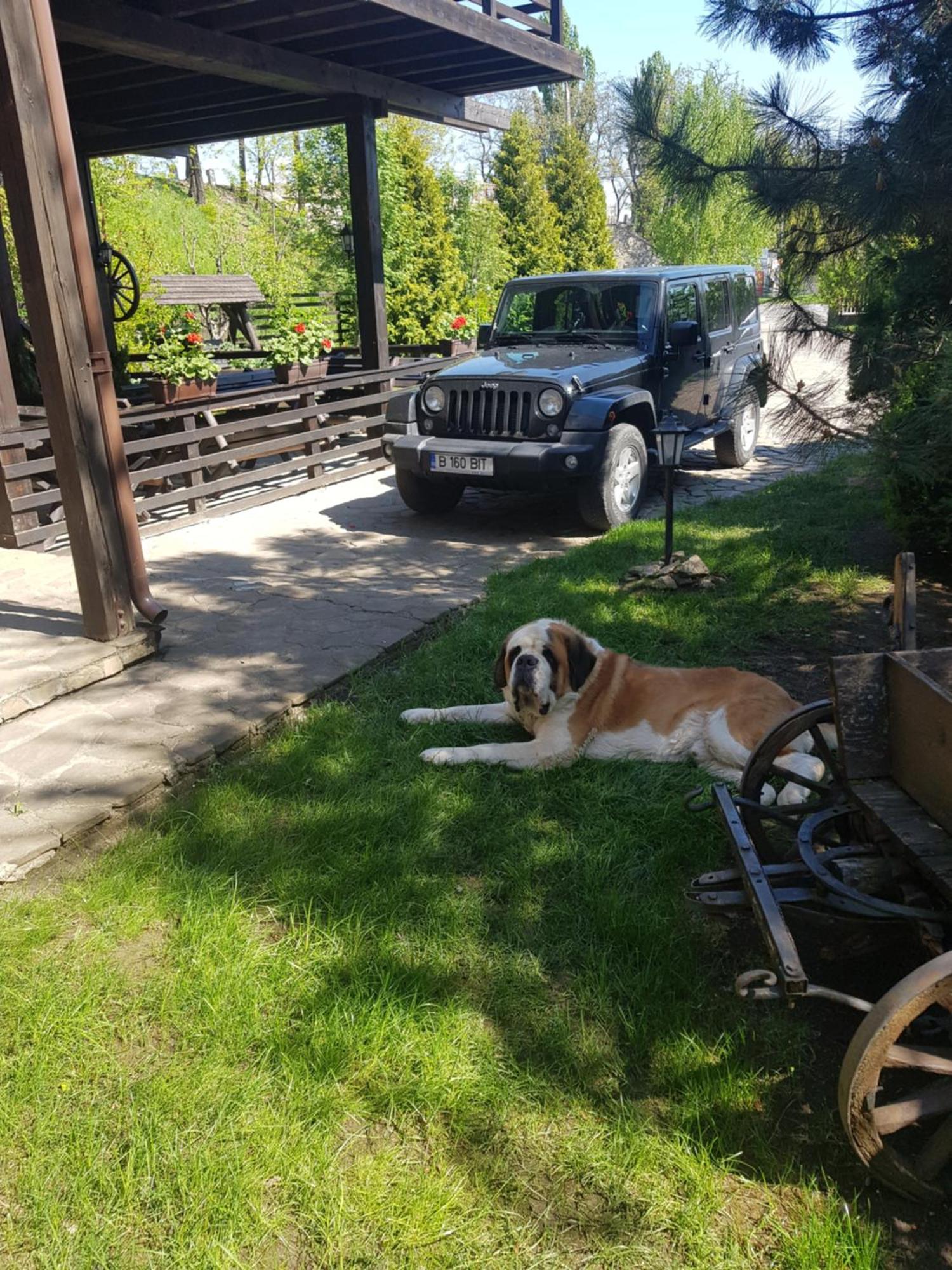 Piatra Neamţ 卡萨德鲁每图雷旅馆酒店 外观 照片