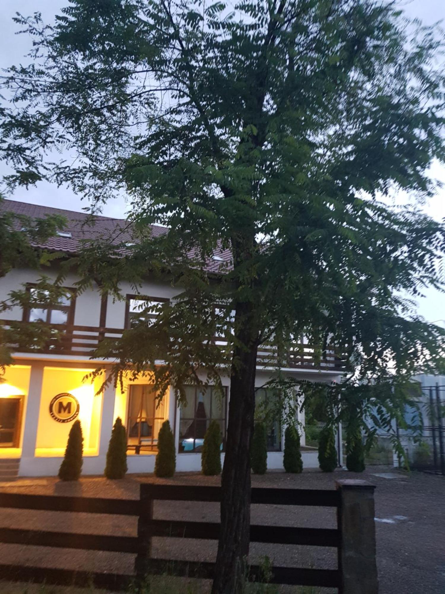 Piatra Neamţ 卡萨德鲁每图雷旅馆酒店 外观 照片